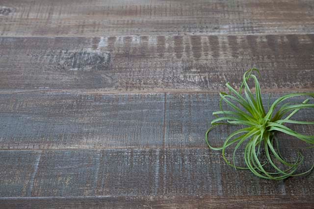 ASS-WDA54 B�ʡ��������󥰥��åɡ����������֥�å���9���ġ�