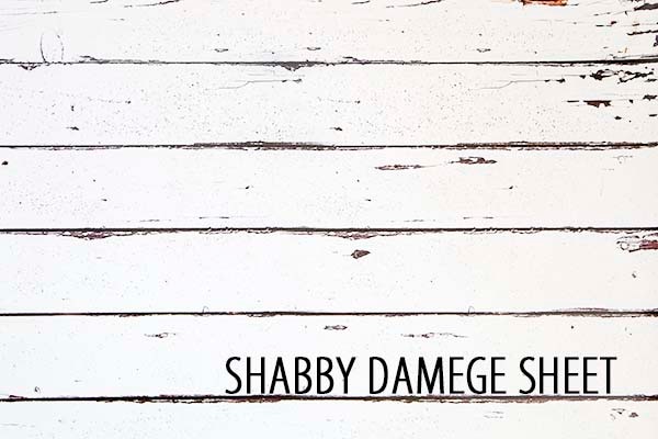 ASS-BB2 ����ӡ����᡼��������