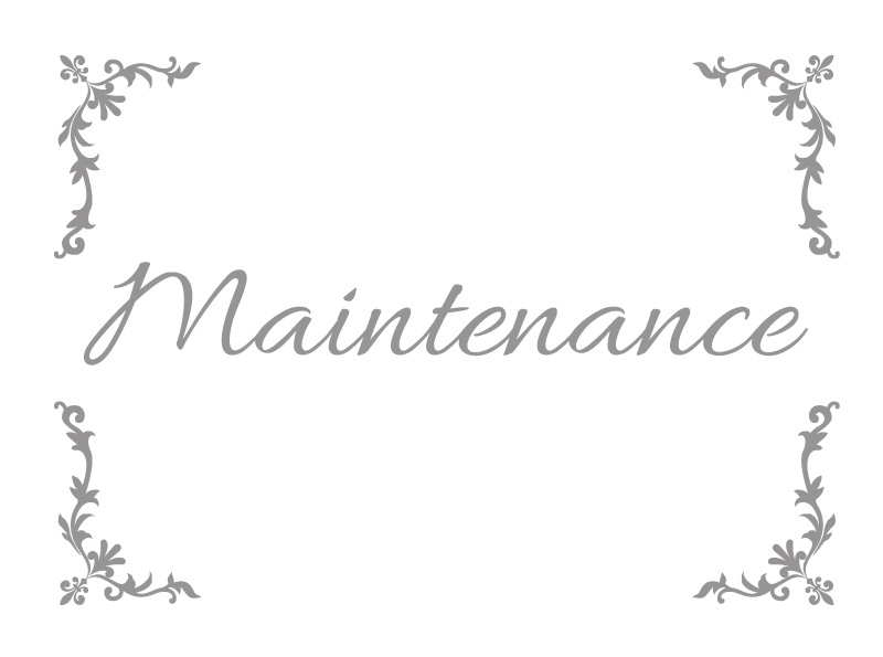 CHW-S1����ɥץ쥹���ƥʥ󥹷���