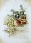 NOMI-AY10 PS-104 Peaches, plums & grapes still life|委託販売（特価）|蚤の市(特価）