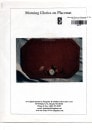 NOMI-AY139 Morning glories on placemat|委託販売（特価）|蚤の市(特価）