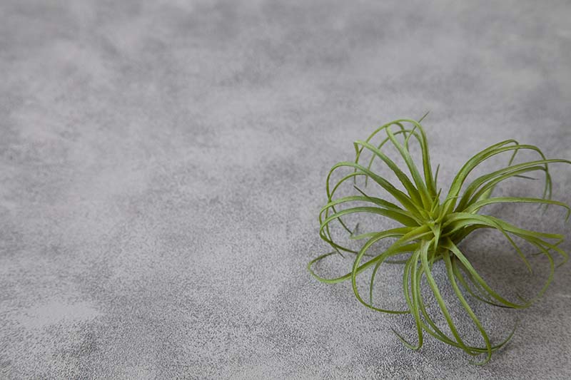 ASS-WDB6 ����ӡ�&���ȡ���ܡ��ɡ�6����