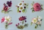 CR-19 Garden Series|Cheri Rol|オイルパターンパケット