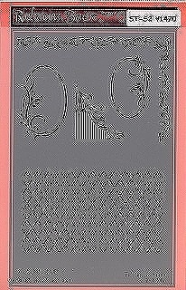 ST-RS2 �ڎ͎ގ���Trellis & trims stencilST-806