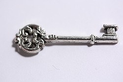 CM-30 ������(ZS-4)��