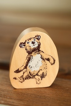 STM-KM3 ���� 1