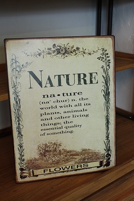 Z-Z13 �����ݎ̎ߎڎ��ĎŎ����� A�͡�����Ѥ�