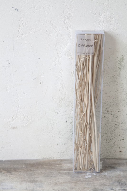 Z-Z206 �ʥ����륹�ƥ��å�