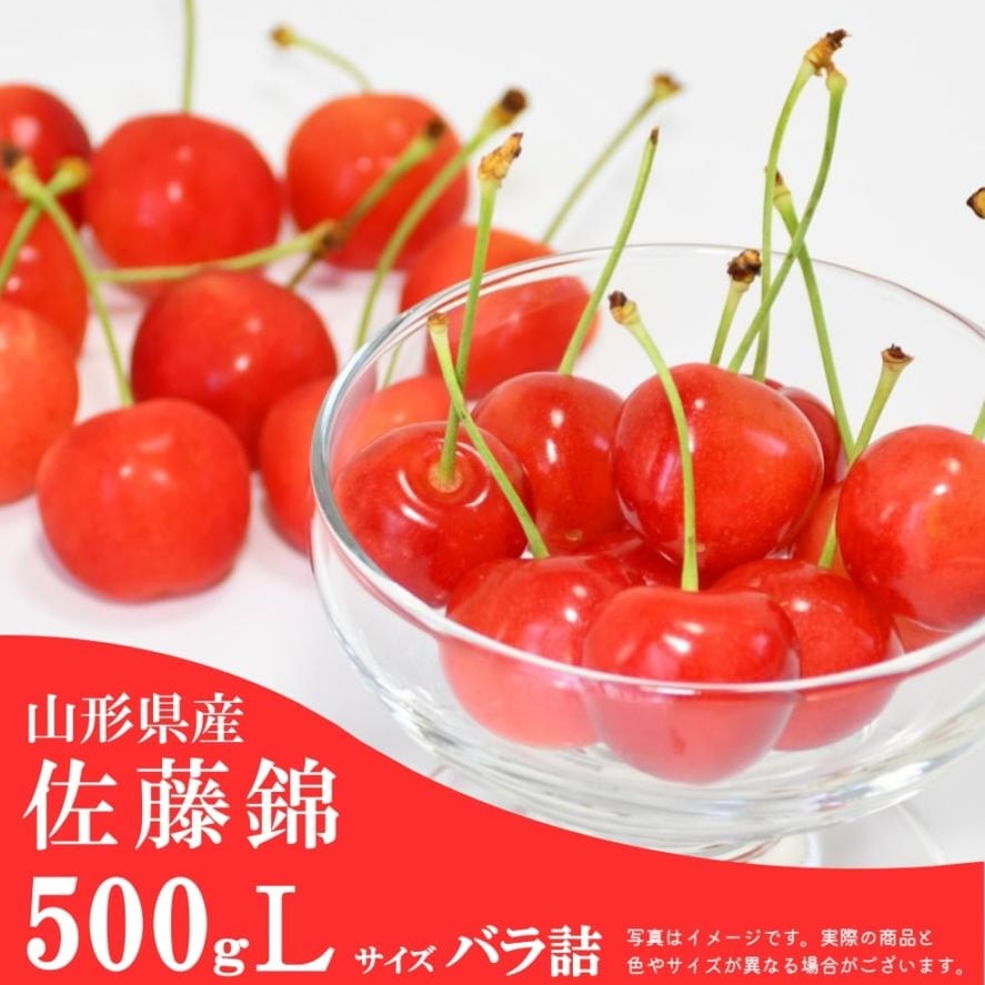 佐藤錦 500ｇバラ詰箱 秀Lサイズ【S-00】