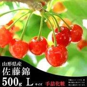 S-06ۺƣ 500g ͲȢ̥