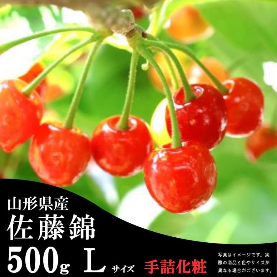 佐藤錦 500g 手詰化粧箱　秀Ｌサイズ【S-06】
