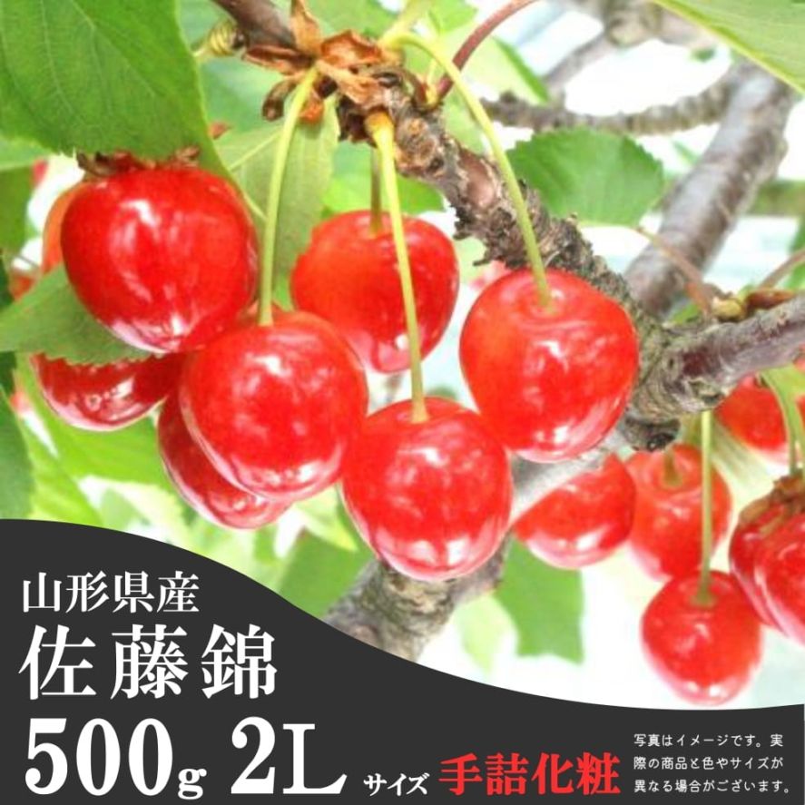 佐藤錦 500g 手詰化粧箱　秀2Ｌサイズ【S-07】