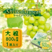 ��G-01�ۥ��㥤��ޥ����å���γ 1˼��800g�������Ȣ-10���ܡ����ܺ����Ϥ�