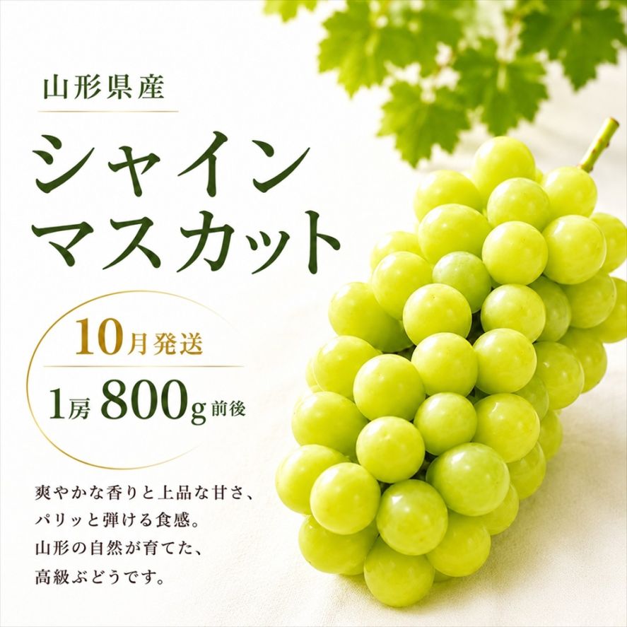 シャインマスカット大粒 1房（800g前後）入箱（10月上旬～下旬頃お届け）【G-01】