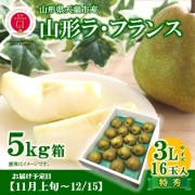 R-05 顦ե 5kg 3L 16