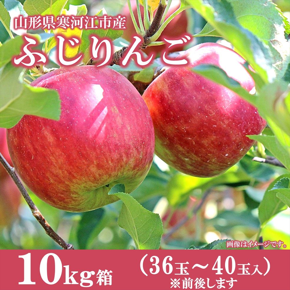 【F-03】 山形県寒河江市産ふじりんご　10kg箱　（36玉～40玉前後）