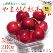 Y-02ۤޤȲ 200ʥѥå1002С˲Ȣ 3L