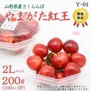 Y-01ۤޤȲ 200ʥѥå1002С˲Ȣ 2L