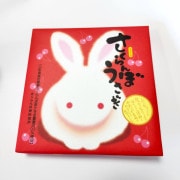 �������ܤ����� ��������