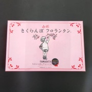 �������ܥե���󥿥󡡣�������