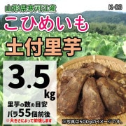 ¡ÚK-04¡ÛÅÚÉդΤ°ò¡Ê¤³¤Ò¤á¤¤¤â¡Ë3.5£ë£ç