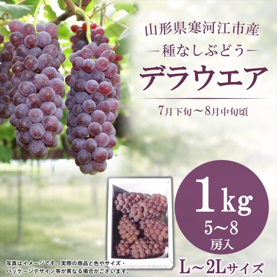 種無しぶどう デラウェア L~2Lサイズ 1kg 5~8房詰 贈答用箱【D-01】