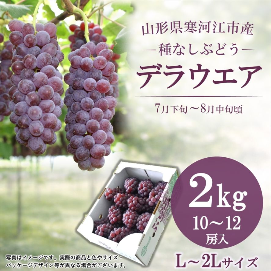 種無しぶどうデラウェア L~2Lサイズ 2kg 10~12房詰【D-02】