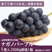 ��KB-01�ۥʥ��Υѡ��ץ��1˼500g���������Ȣ-9���ܺ����Ϥ�