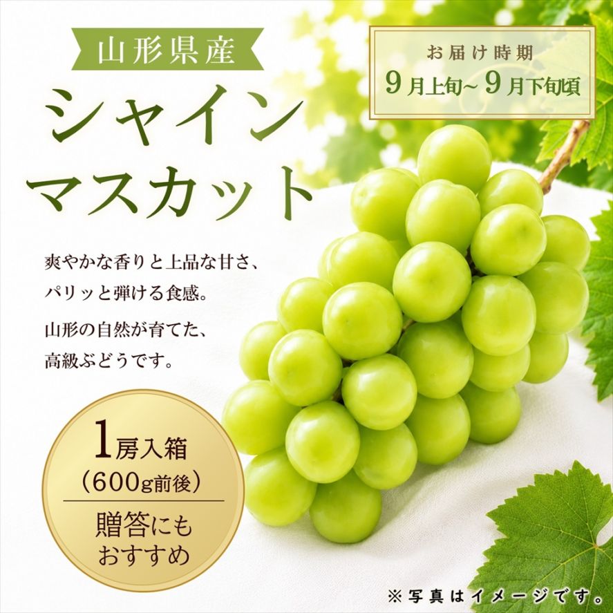 〈9月お届け〉シャインマスカット（1房600g前後）箱【KB-02】