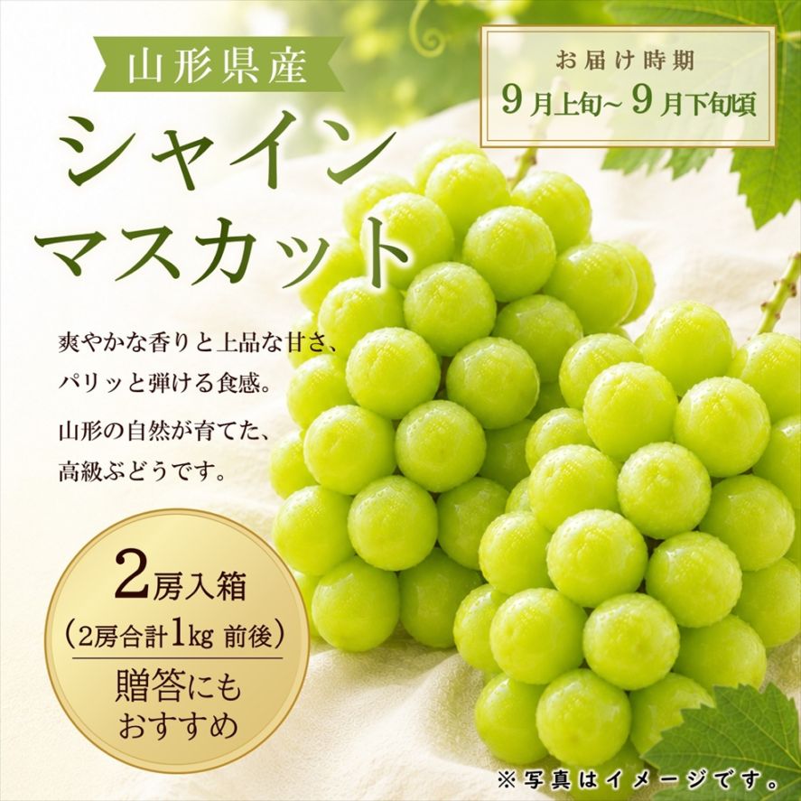 〈9月お届け〉シャインマスカット（2房1kg以上）箱【KB-03】