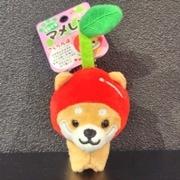 ��������ι����ޥᤷ�С��̤�����ߥޥ����åȥݡ���������󡡤������ܡ�