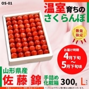 ��OS-01�۲����������� ��ƣ�� 300g ��Ͳ���Ȣ �̥�����