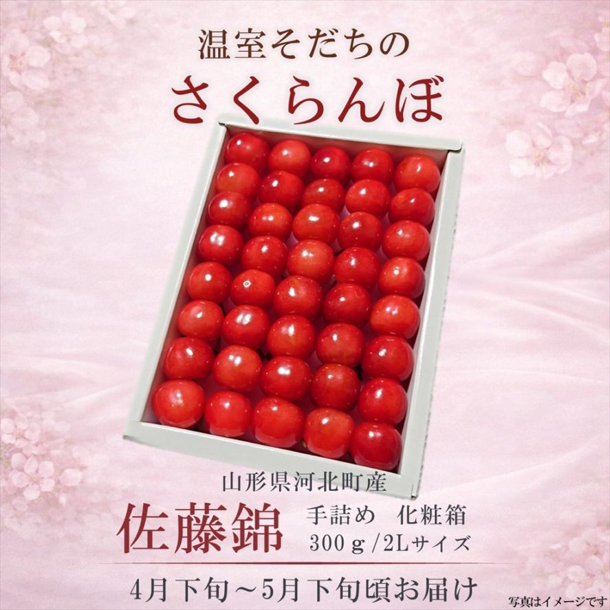 果物・野菜,温室さくらんぼ,温室さくらんぼ（佐藤錦） | チェリー