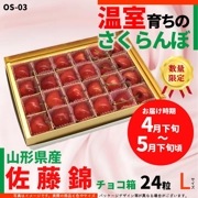 ��OS-03�۲����������� ��ƣ�� ���祳Ȣ��24γ�� �̥����� 