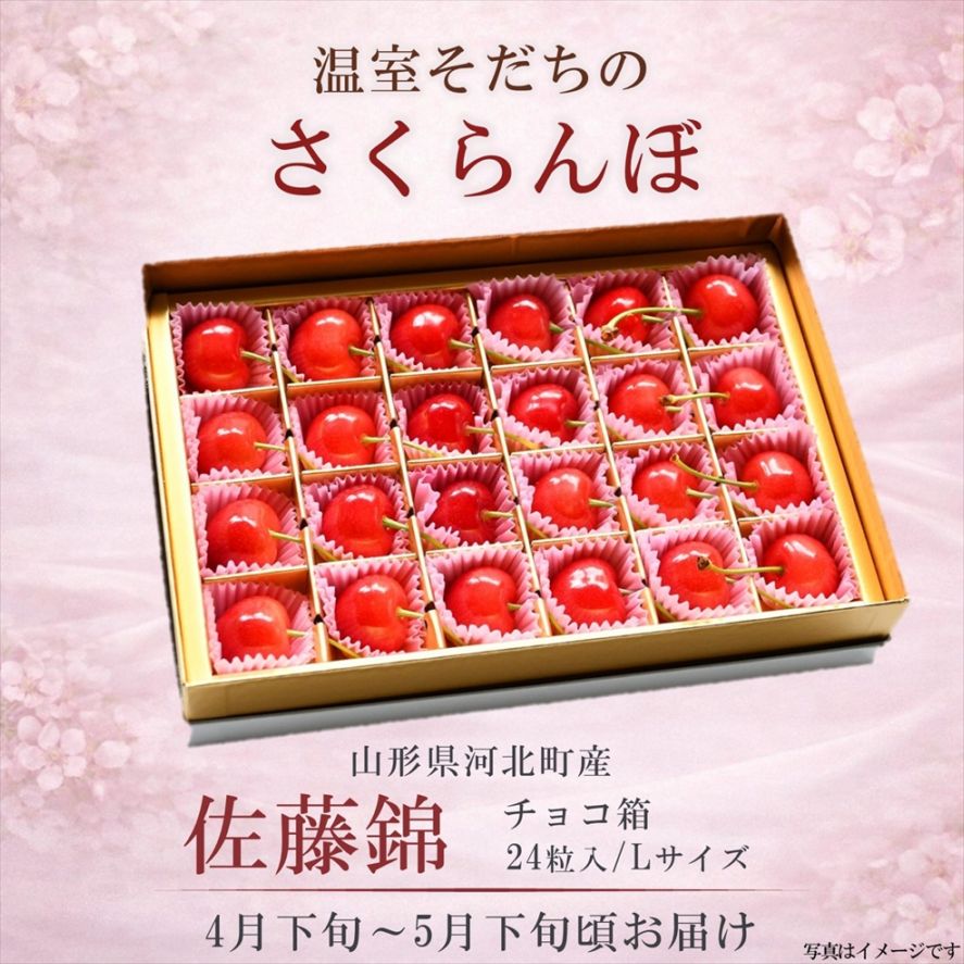 温室さくらんぼ 佐藤錦 チョコ箱（24粒） Lサイズ 〈送料込み〉【OS