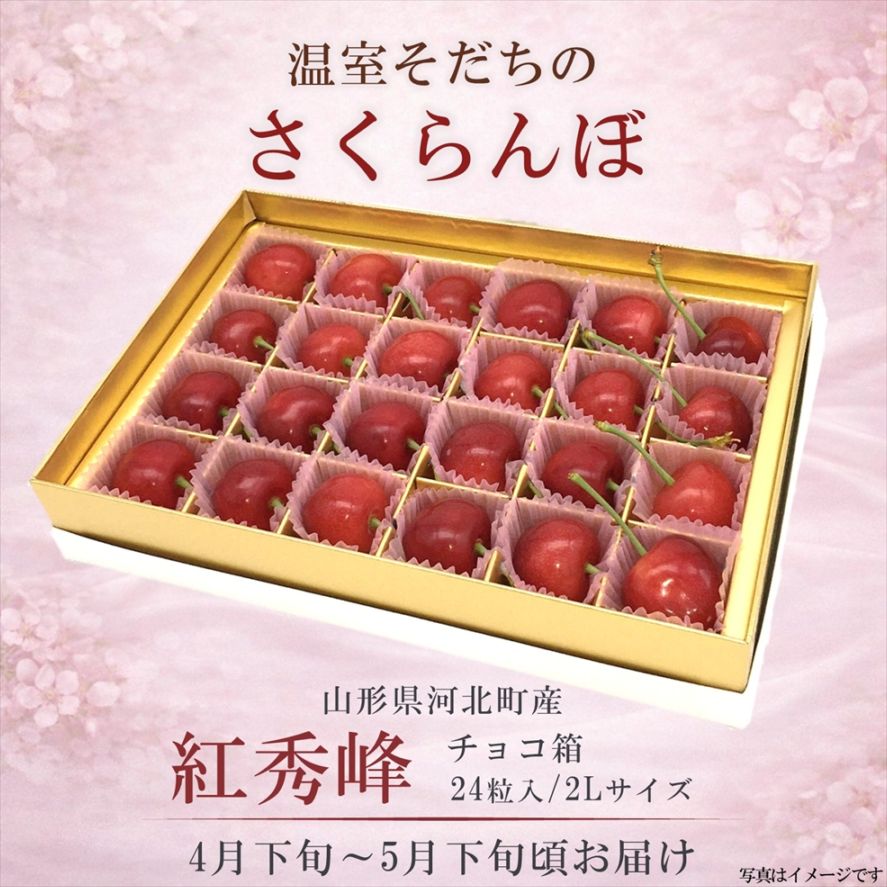 温室さくらんぼ 紅秀峰 チョコ箱（24粒） 2Lサイズ〈送料込み〉【OV