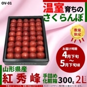 ��OV-01�۲����������� �Ƚ��� 300g ��Ͳ���Ȣ 2�̥����� 