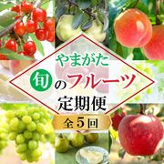 ��FT-01�ۤ�ޤ����ܤΥե롼������ء���5��ˡʿ��̸����