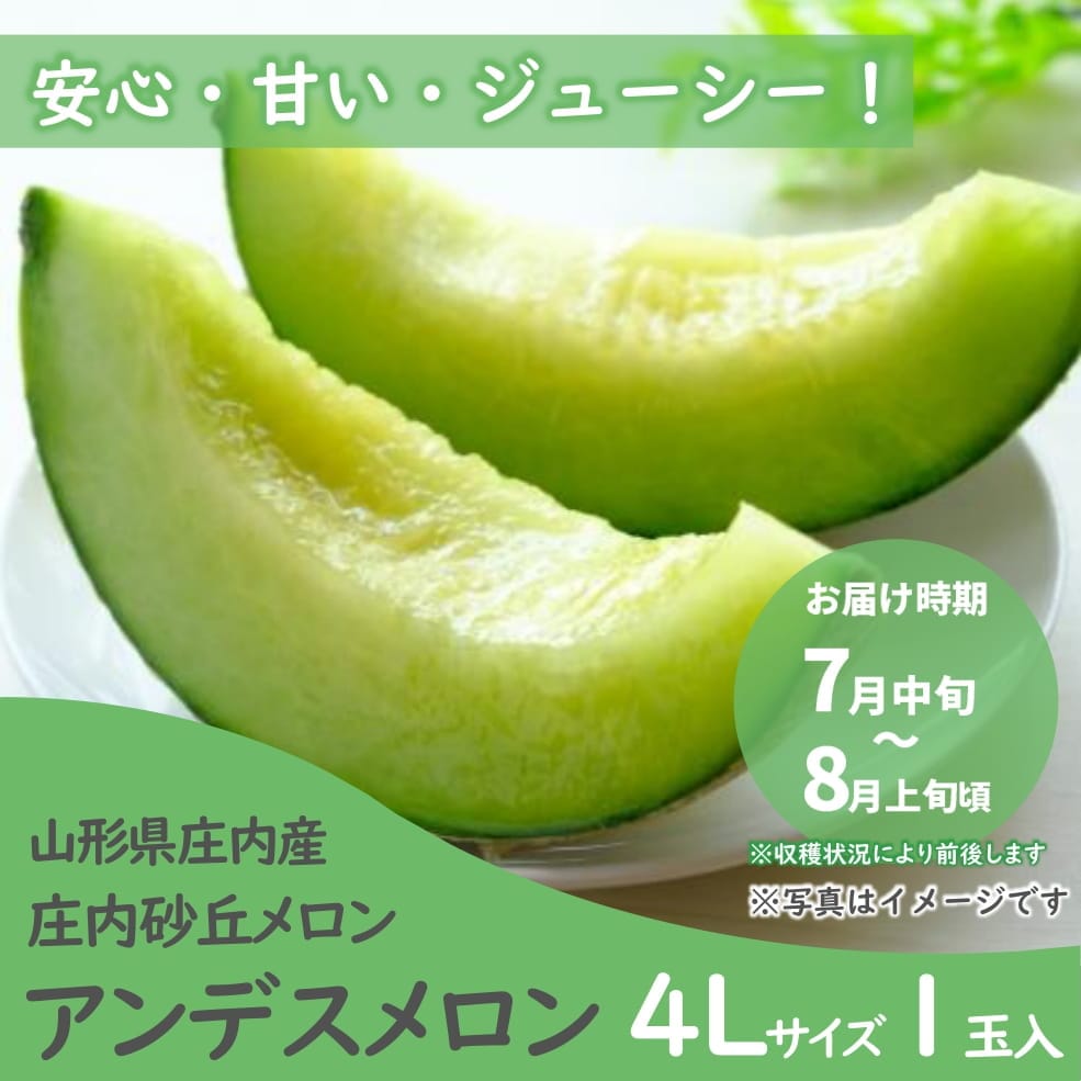 庄内砂丘メロン「アンデスメロン」 4Lサイズ 1玉入箱（青肉・つる付