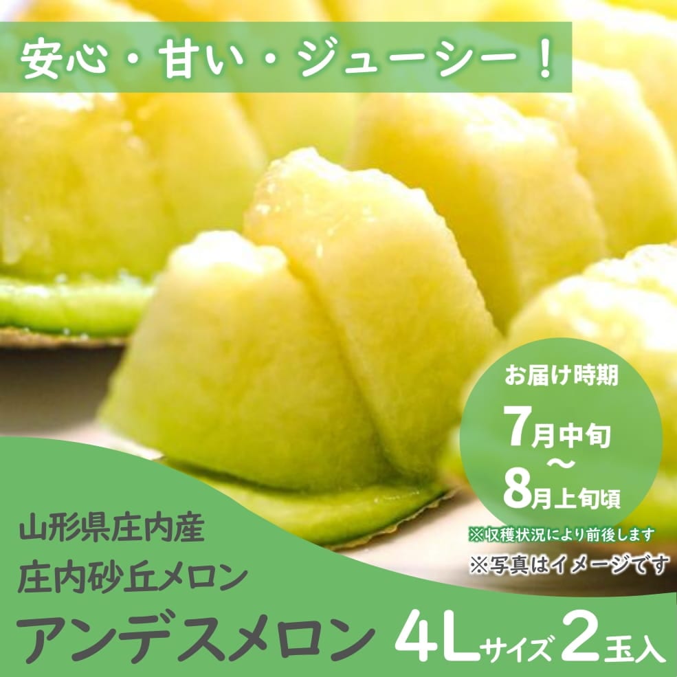 庄内砂丘メロン「アンデスメロン」 4Lサイズ 2玉入箱（青肉・つる付