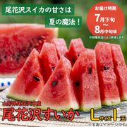 送料無料【WM-01】 尾花沢すいか Lサイズ 1玉箱入