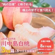 川中島白桃4kg箱 3箱セット 川中島白桃4kg箱 3箱セット 桃 ギフト 箱」の人気商品一覧