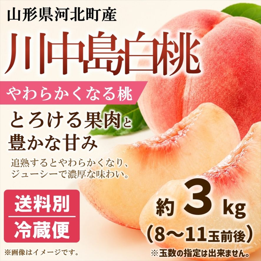 桃（川中島白桃） 約3kg箱（8～11玉入※前後します）【M-01】 | 果物