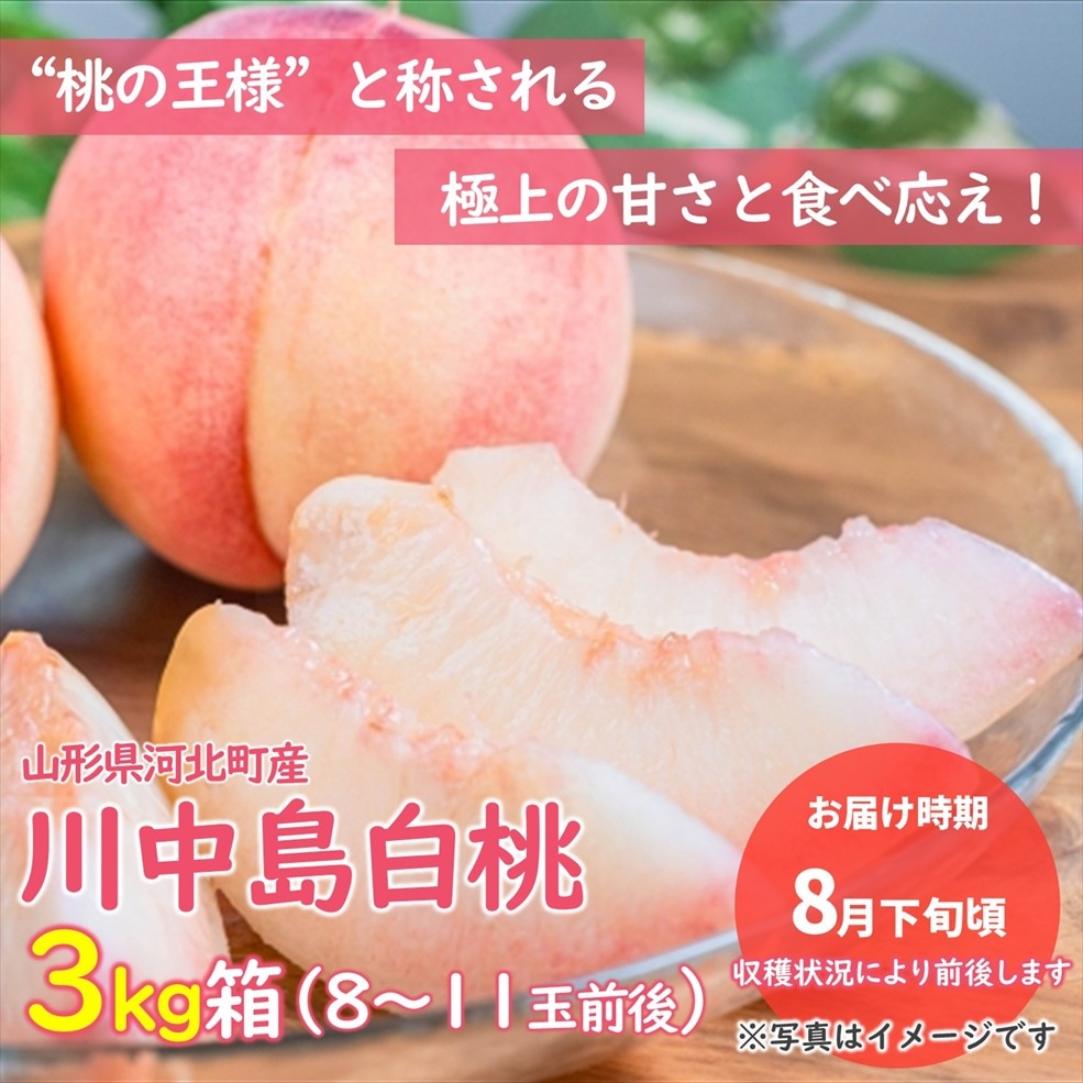 【M-01】桃（川中島白桃） 3kg箱（8～11玉入※前後します）