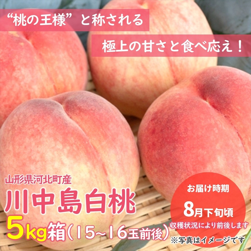 【M-02】桃（川中島白桃） 5kg箱（15～16玉入※前後します）