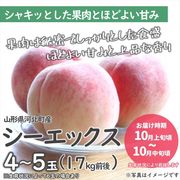 MC-01۹Ťʥå45̡1.7kg