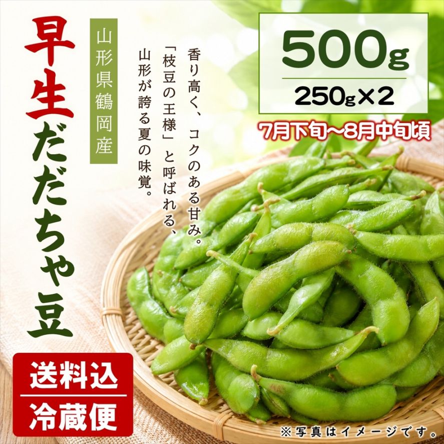 早生だだちゃ豆 500ｇ（250g×2袋）【E-01】送料込