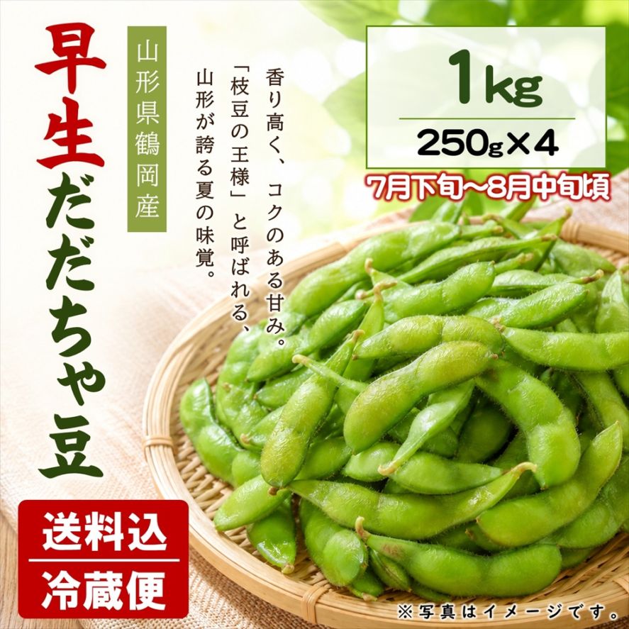 早生だだちゃ豆 1kｇ（250g×4袋）【E-02】送料込