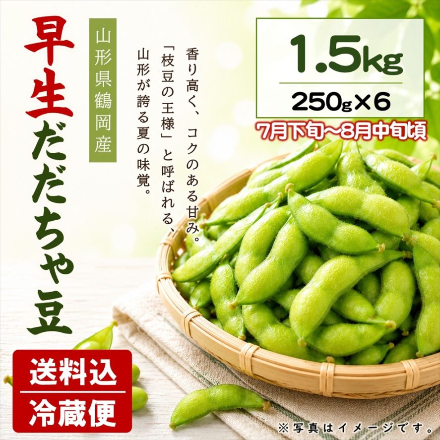 早生だだちゃ豆 1.5kｇ（250g×6袋）【E-03】送料込