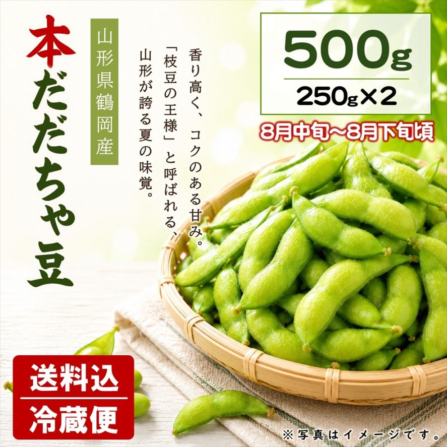 本だだちゃ豆 500ｇ（250g×2袋）【E-04】送料込